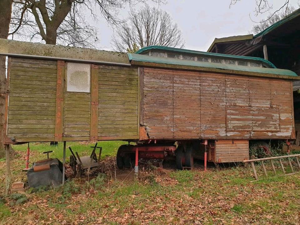 Cirkuswagen hänger... in Schwerin