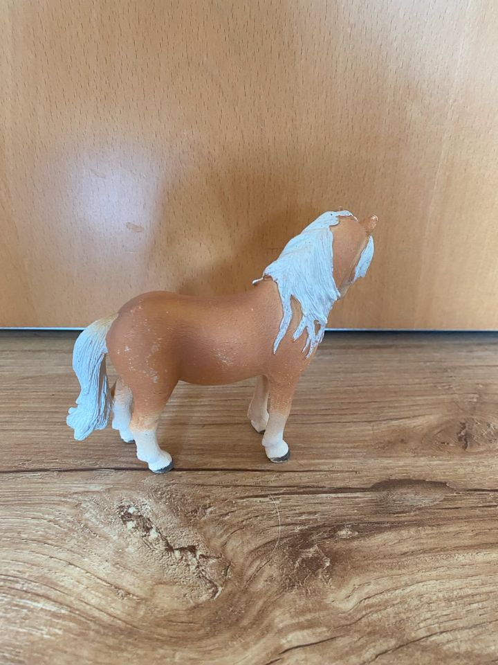 Schleich Haflinger in Sachsenhagen