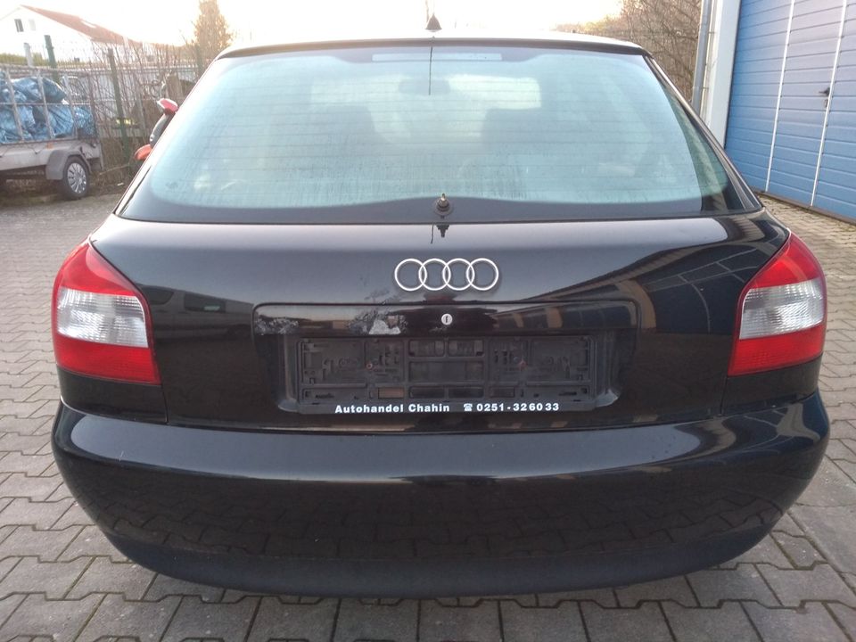Audi A3 1,6 in gutem zustand in Senden