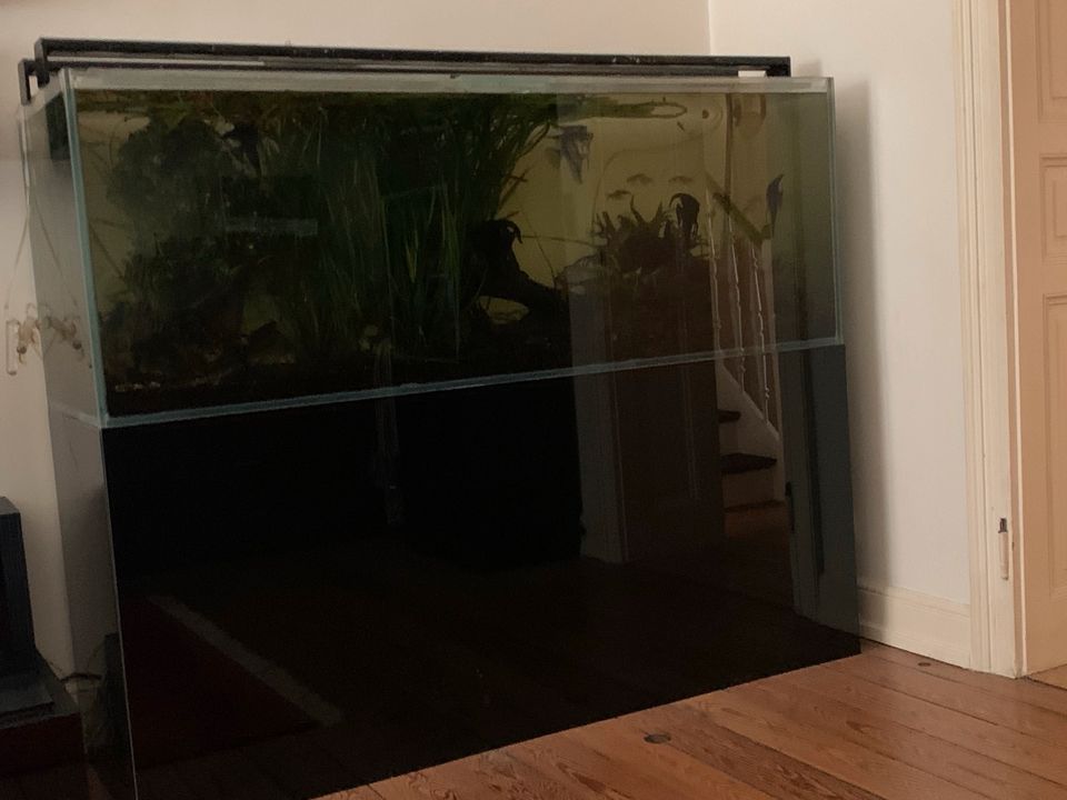 ❌❌ Aquarium Weißglas OptiWhite 700l 180x60x65 cm ❌❌ in Wiesbaden