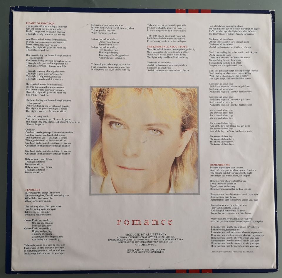 LP Vinyl David Cassidy "Romance" Schallplatte in Pirmasens