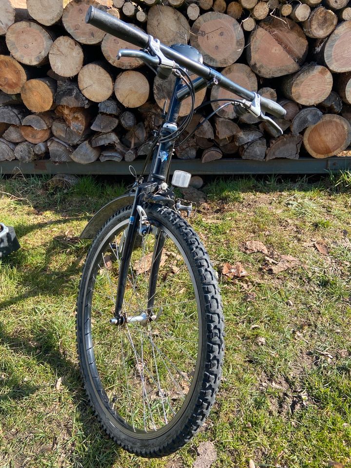 Giant Mountainbike 26 Zoll in Seybothenreuth