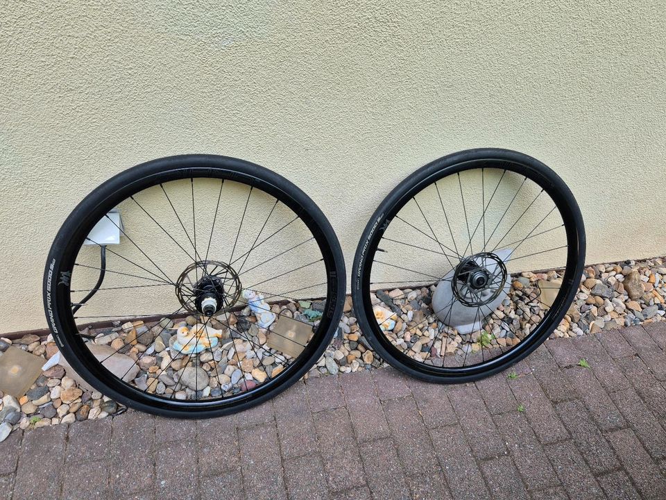 Stans Notubes Grail MK3 ZTR Tune Nabe Laufradsatz in Dresden