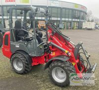 Weidemann 1260 Radlader / 300108678 Nordrhein-Westfalen - Salzkotten Vorschau