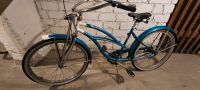 Fahhrad Beach Cruiser Frankfurt am Main - Heddernheim Vorschau