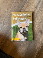 Französische Bulldogge Premium Ratgeber Sehr guter Zustand Bayern - Gochsheim Vorschau