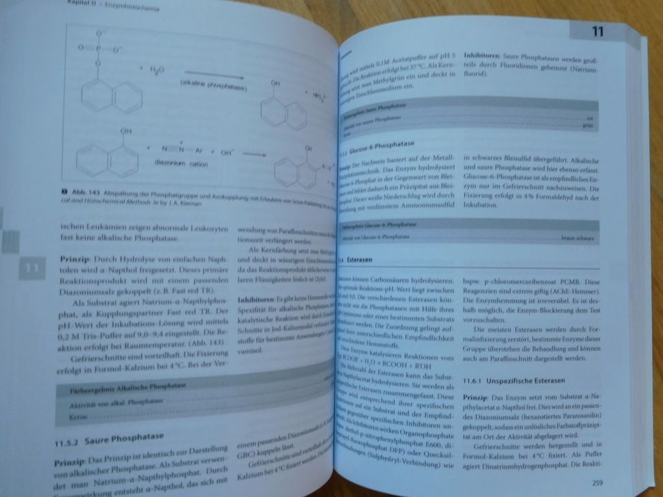 Histotechnik Praxislehrbuch für die Biomedizinische Analytik 2. A in Coburg