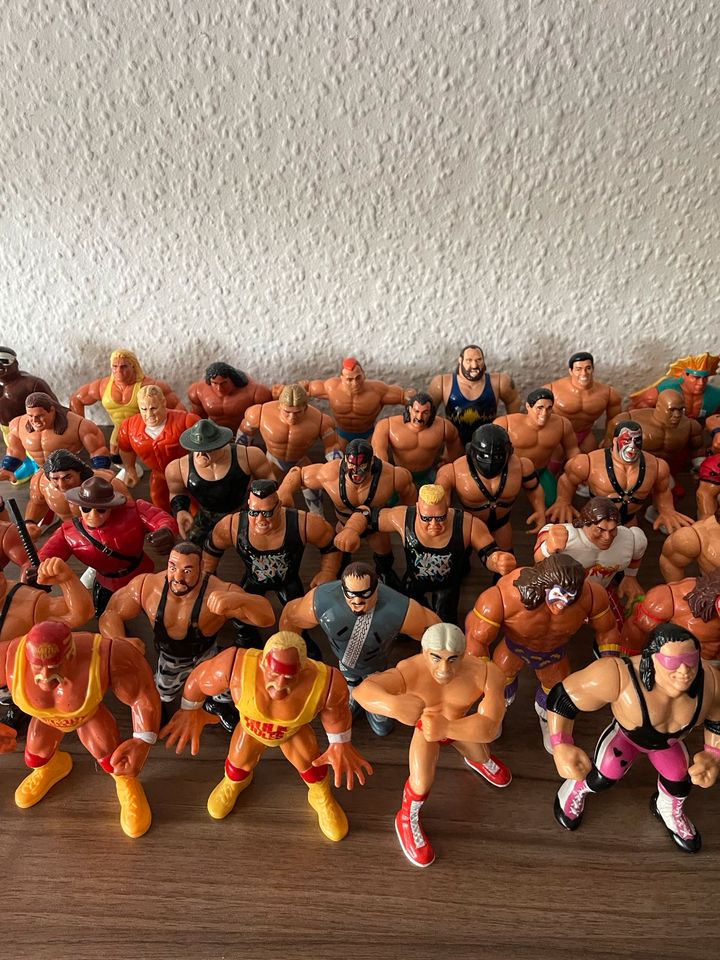 WWF Hasbro Wrestling Figuren Actionfiguren vintage in Essen