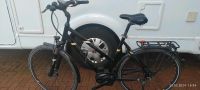 Pegasus Solero Herren E Bike 28 zoll Akku defekt Brandenburg - Pritzwalk Vorschau