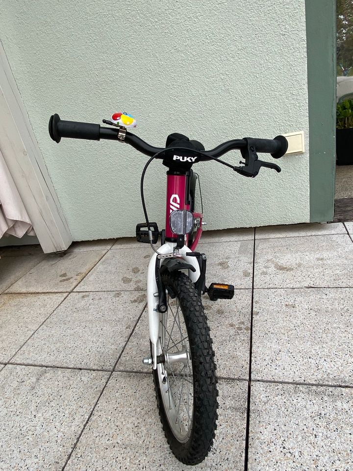 Puky Cyke 16 Zoll in Rohrdorf