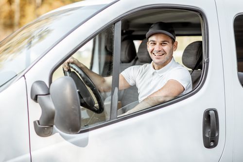 LKW-Fahrer im Nahverkehr (m/w/d) (20950025) in Mannheim