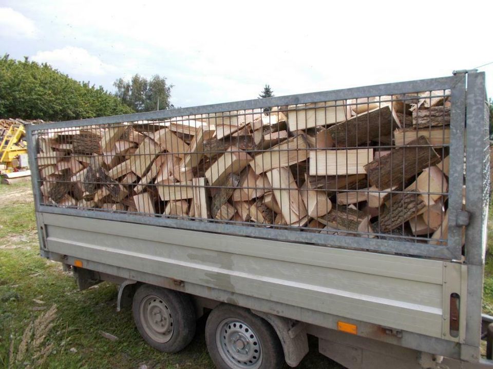 Kaminholz Brennholz Buche Eiche Esche Birke Kirsche Frühjahrsprei in Wittenhagen