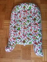 Babynest mit Vögeln Nordrhein-Westfalen - Rheinbach Vorschau