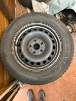 4 Winterreifen Goodyear 195/65 R15 für Seat/VW Nordrhein-Westfalen - Marl Vorschau