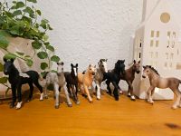 Schleich Fohlen & Ponys Horse Club Farm Land schwarz braun weiß Sachsen-Anhalt - Weißenfels Vorschau