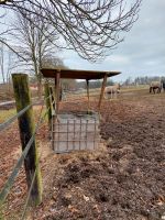 Futterraufe Nordrhein-Westfalen - Barntrup Vorschau