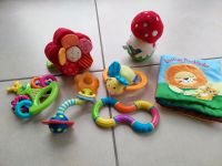 Baby- Spielzeug Haba, Ravensburger, Fisher Price Hessen - Breidenbach (bei Biedenkopf) Vorschau