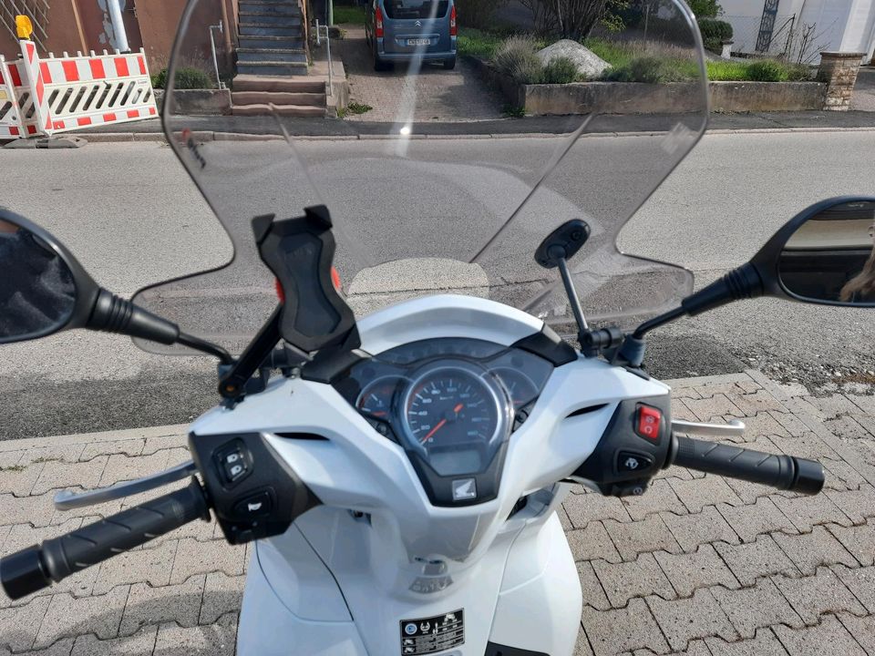 Honda SH 300i Garagenfahrzeug -TÜV neu- in Bad Liebenzell