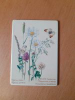 VilboCard Juni A54 Postkarte Villeroy & Boch Porzellan Blumen Niedersachsen - Vögelsen Vorschau