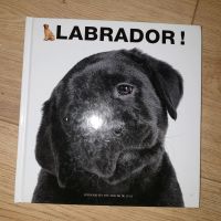 Großes Buch im Hardcover Labrador Fotografien von Araldo De Luca Dortmund - Marten Vorschau