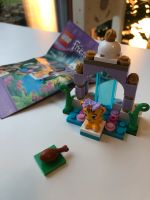 Lego Friends: kleiner Tiger, Tigers beautiful Temple 41042 Niedersachsen - Dötlingen Vorschau