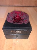 Box mit echter Rose / Geschenkbox mit echter Rose Duisburg - Duisburg-Mitte Vorschau