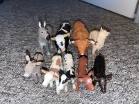 Verkaufe riesige Schleich Sammlung Niedersachsen - Bad Fallingbostel Vorschau