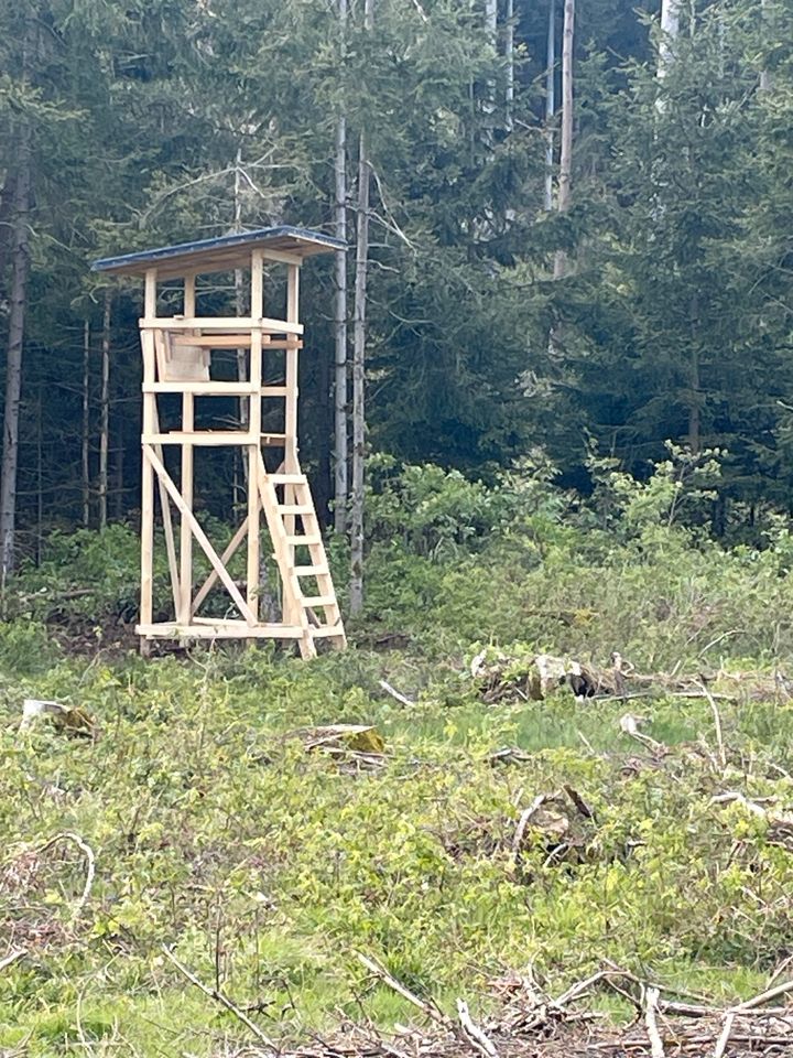 Hochsitz/ Jagdhochsitz / Ansitz / Reviereinrichtung in Wiesenttal