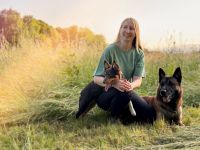 Professioneller Gassi-Service/ Dogwalking in Naurod (65207) Hessen - Wiesbaden Vorschau