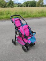 Puppenwagen Zwillinge Buggy Nordrhein-Westfalen - Hennef (Sieg) Vorschau