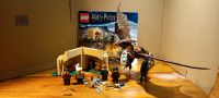 Lego Harry Potter 75946 Ungarischer Hornschwanz mit OVP Hessen - Langgöns Vorschau