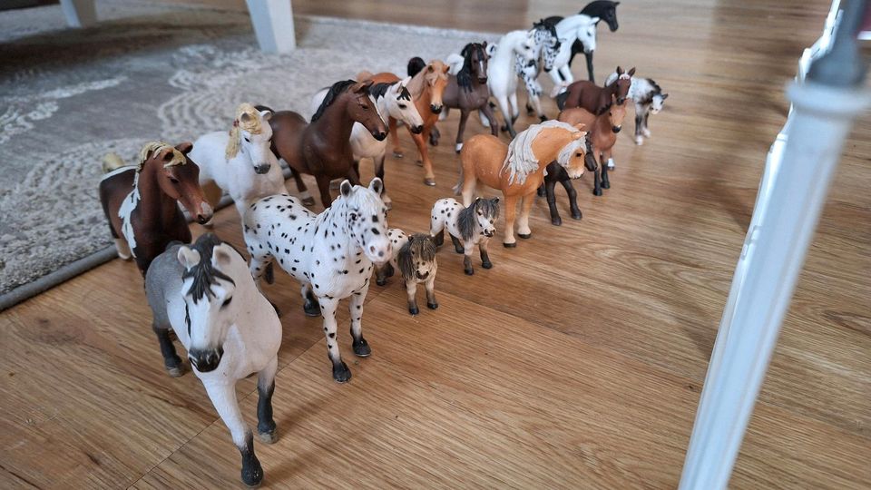 Schleich Pferdestall + Turnierplatz + 20 Pferde in Plön 