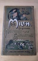 Buch "Milch. Ein großes Nahrungs- und Heilmittel" von 1906, EA Frankfurt am Main - Nordend Vorschau