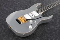 IBANEZ RG5170G-SVF E-Gitarre 6 String Silver Flat + Case M20RG Baden-Württemberg - Warthausen Vorschau