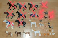 PLAYMOBIL diverse Tiere + Figuren Katzen Pferde Hunde Einhorn Hessen - Fritzlar Vorschau