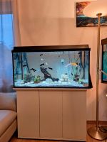 Smart Aquarium 200l L/B/H 100/40/50 mit wasserdichte Unterschrank Bayern - Günzburg Vorschau