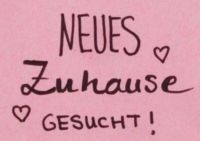 Wohnung gesucht / Haus zum Tausch vorhanden: wegen Verkleinerung Bayern - Donauwörth Vorschau