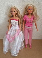2 Barbie Puppen bekleidet schick Niedersachsen - Hildesheim Vorschau