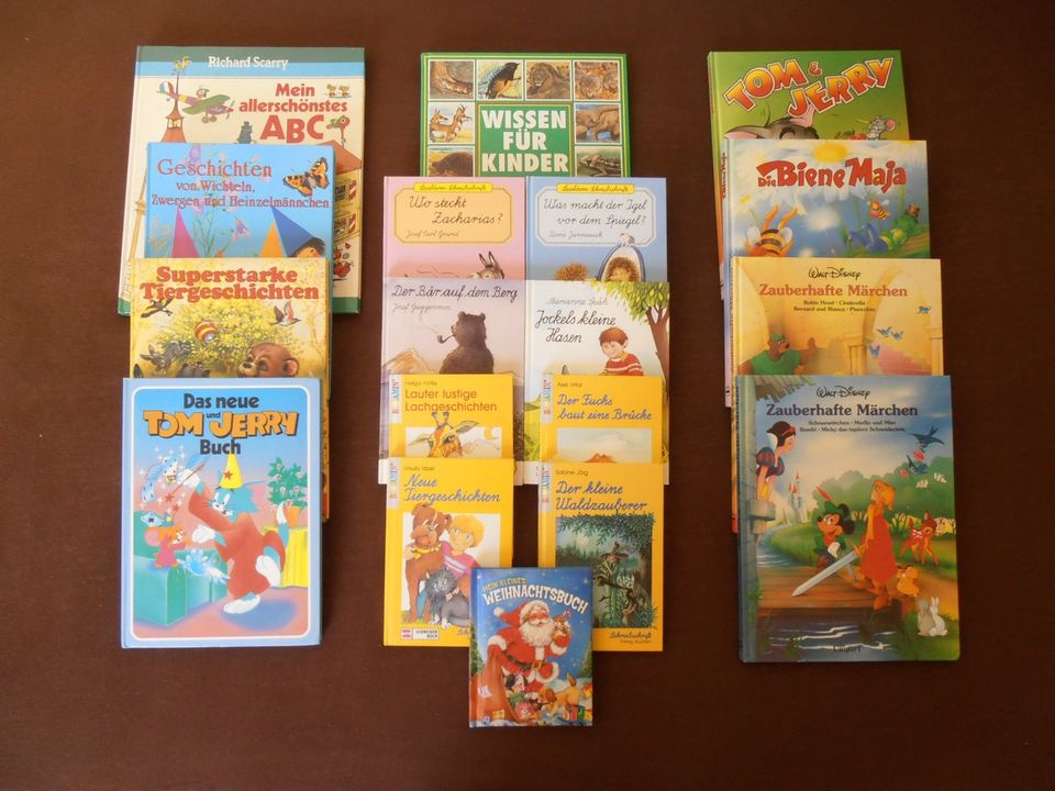 Bücher Kinderbücher 25 Stück (neuwertig) in Berlin
