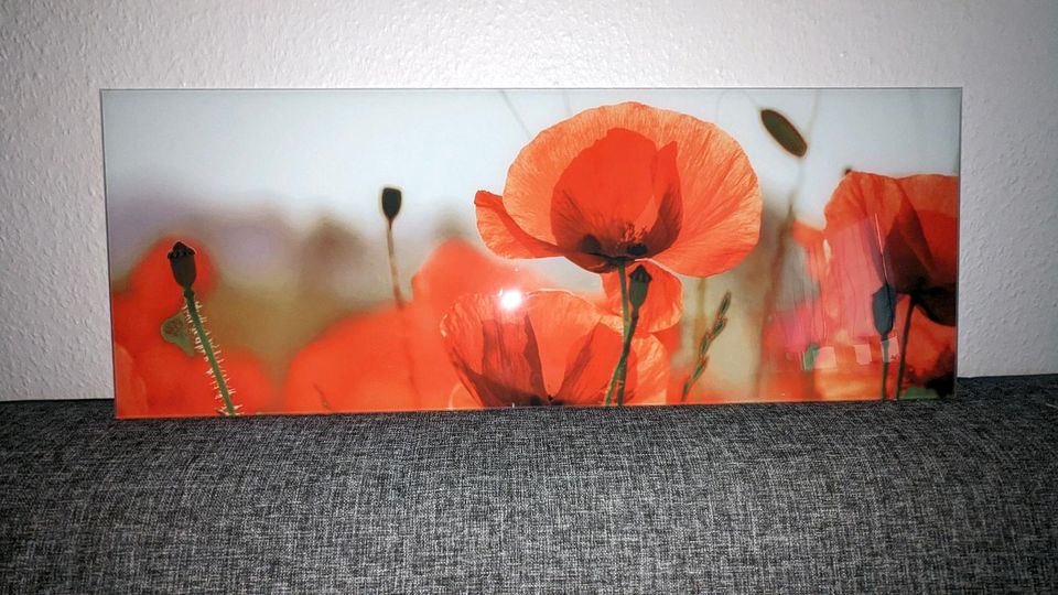 Wanddeko - Blumenfeld auf Acrylglas sehr guter Zustand in Herne