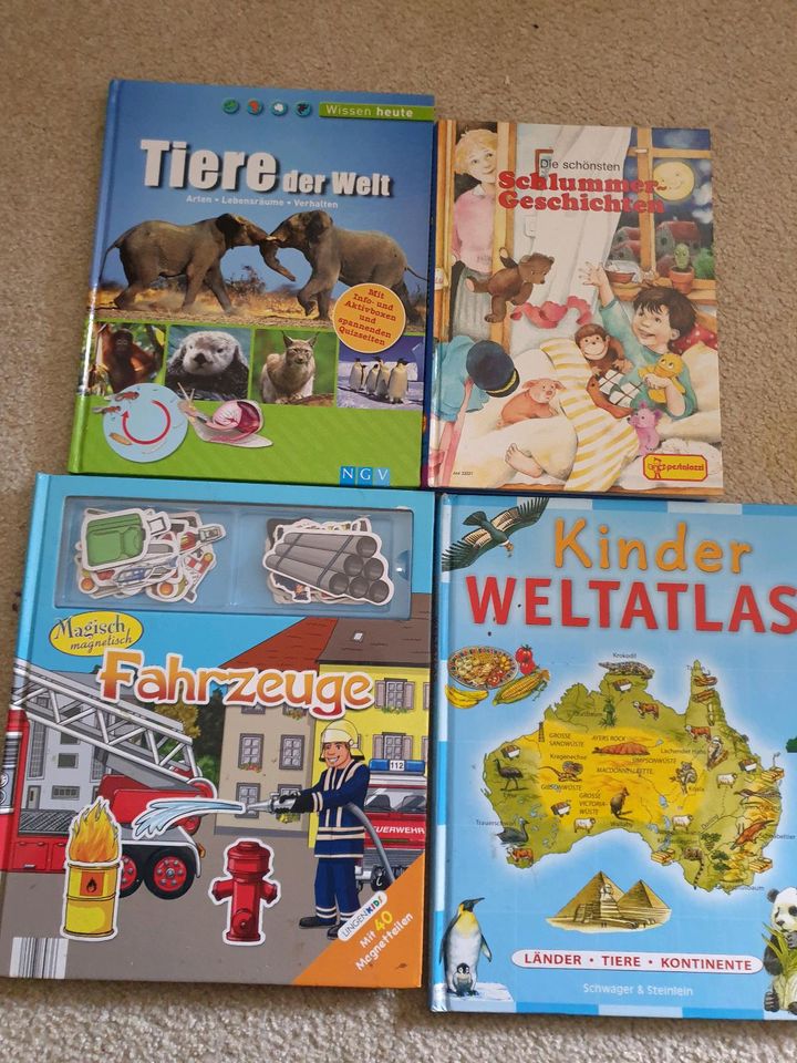 Kinderbücher 9 Stück in Nobitz