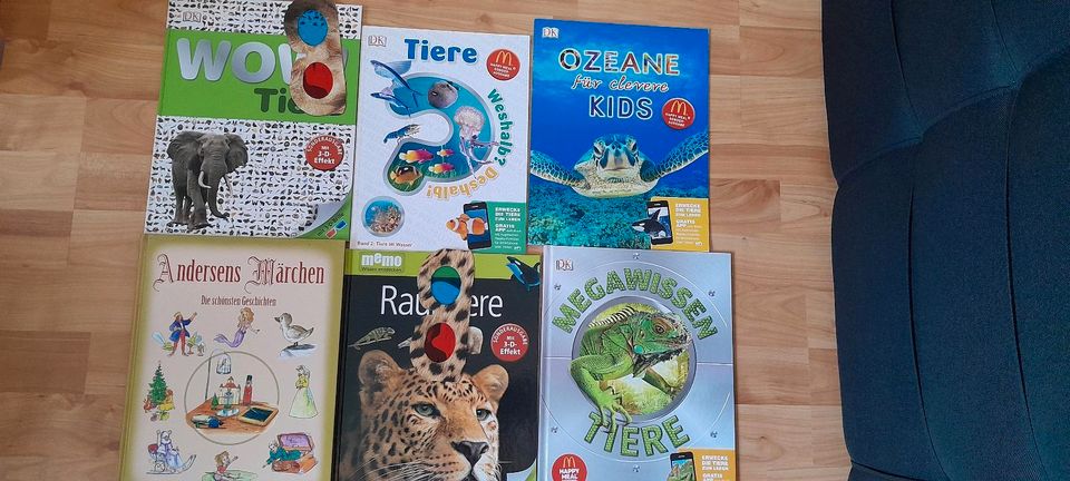 Kinderbücher Gesamtpaket in Vohburg an der Donau