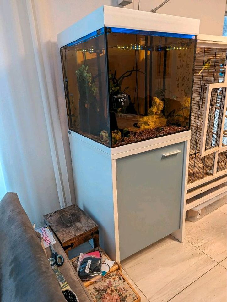 Eheim Scuba Cube 270 beliebtes Meer- oder Süsswasseraquarium in Blaubeuren