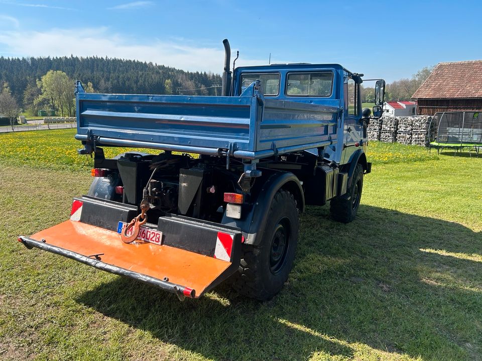 Sie suchen einen Unimog Typ 421-403-406-424-427 in Memmingen