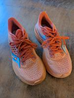 Saucony Ride 17 Damen Laufschuh Altona - Hamburg Ottensen Vorschau