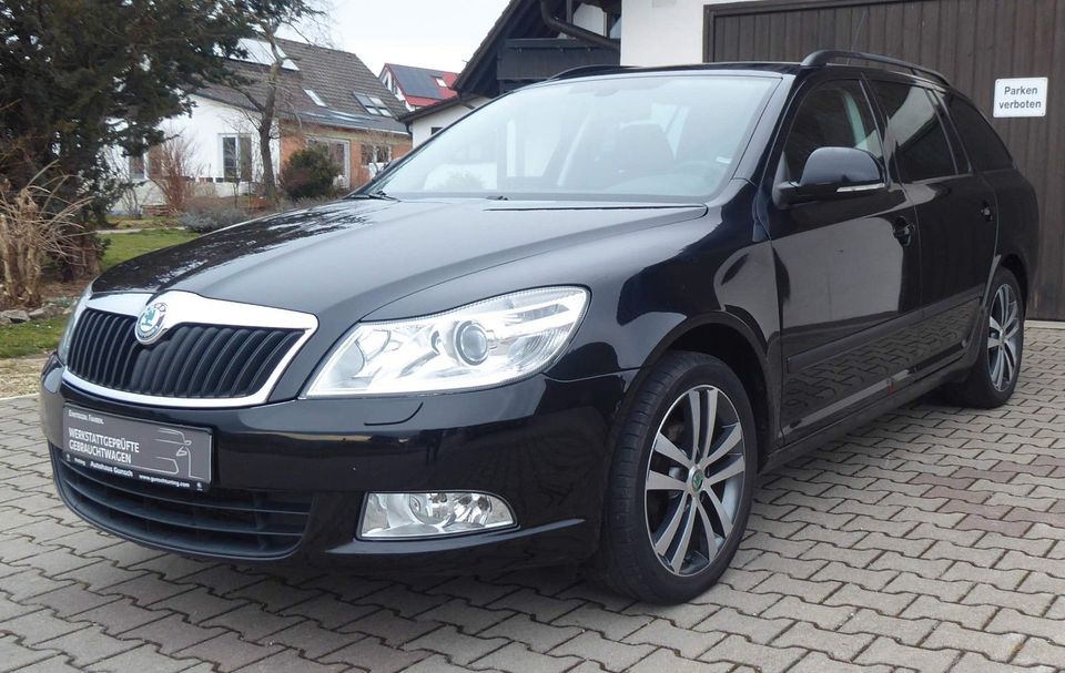 Skoda Octavia Combi1.4 TSI Family//  Rostmängel in Pflaumdorf