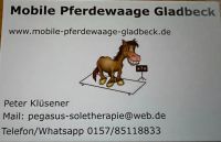 Mobile Pferdewaage Gladbeck Nordrhein-Westfalen - Gladbeck Vorschau