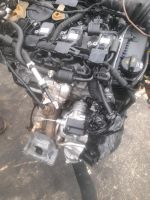 Motor  Audi  CJE CJEB  A4 A5 Q5 1,8TFSI 170PS  22TKM Mecklenburg-Vorpommern - Neubrandenburg Vorschau