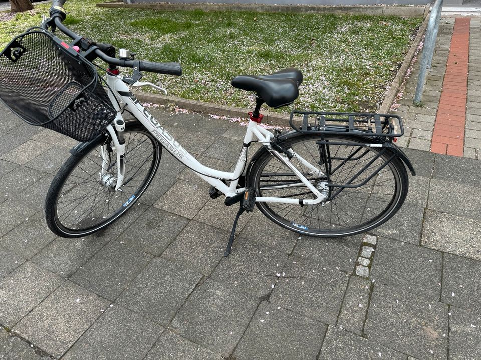 Damenrad Pegasus Solero SL, RH 50cm in Hildesheim