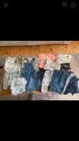 Baby / Kinder Kleidung - Pullis, Shirts, Hosen etc. Friedrichshain-Kreuzberg - Kreuzberg Vorschau